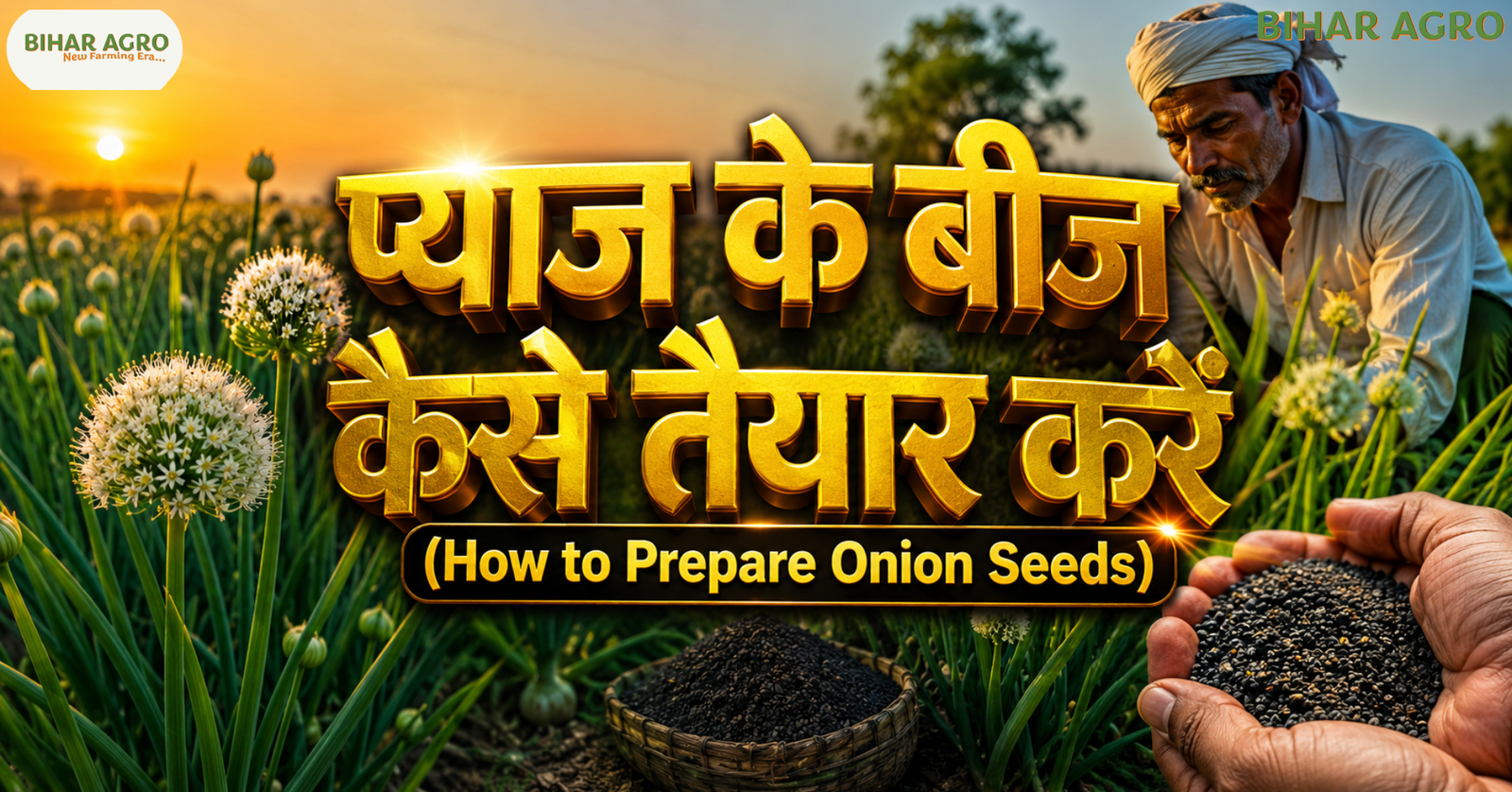Onion Seeds Preparation, प्याज के बीज कैसे तैयार करें, Onion Seed Preparation, प्याज बीज उत्पादन, Onion Farming, प्याज खेती, प्याज के बीज कैसे तैयार करें, How to Prepare Onion Seeds, प्याज की खेती, Onion Seed Production in India, उन्नत खेती, High Yield Onion, प्याज के बीज का भाव, Bihar Agro, agriculture,प्याज बीज बनाने की विधि,