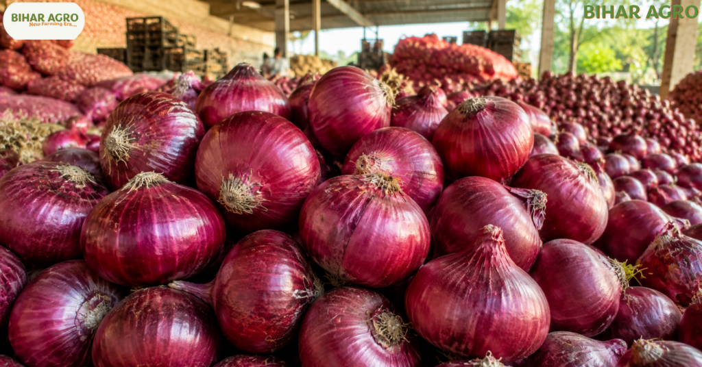 भीमा सुपर प्याज, Bhima Super Onion, प्याज की उन्नत किस्म, खरीफ प्याज खेती, लेट खरीफ प्याज, अधिक उत्पादन वाली प्याज, onion farming in hindi, लाल प्याज की खेती, प्याज की खेती कैसे करें, Bhima Super Onion Farming,