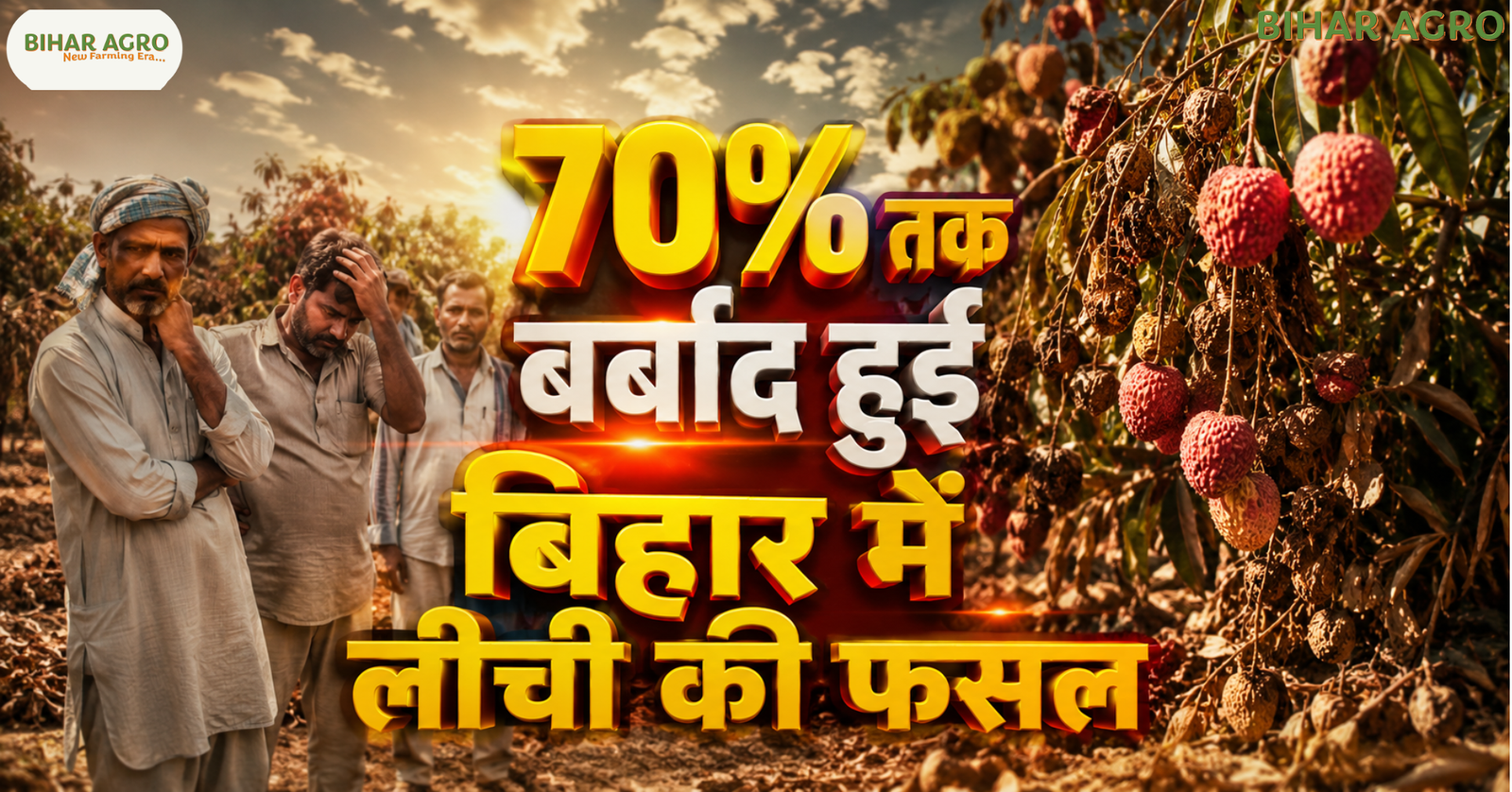 बिहार लीची फसल नुकसान, Bihar Litchi Crop Loss, Muzaffarpur Litchi News, लीची खेती, Climate Change Bihar, Shahi Litchi Bihar, Bihar Farmers News, Litchi Farming Tips, Bihar Agriculture News, लीची किसानों का नुकसान, lichi, Litchi, Litchi Fasal,