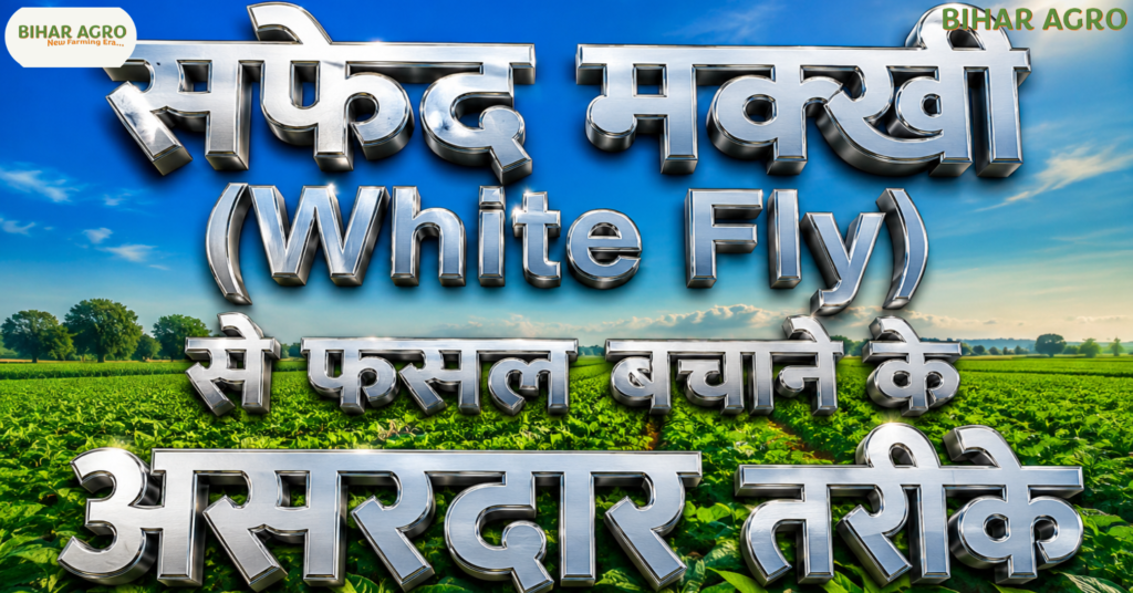 सफ़ेद मक्खी, White Fly, सफ़ेद मक्खी नियंत्रण, White Fly Control, सफेद मक्खी की दवा, White Fly Symptoms,सफेद मक्खी,