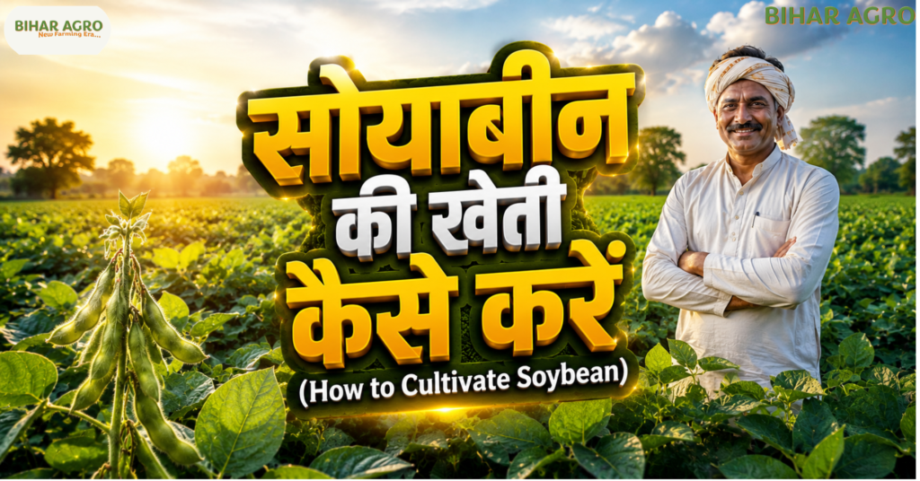 Soybean Farming, सोयाबीन खेती, Soybean Crop, कृषि जानकारी, Farming Tips, Bihar Agro, Soybean Production, Indian Agriculture, खेती की जानकारी, Soybean Cultivation, सोयाबीन की खेती कैसे करें, How to Cultivate Soybean, Soybean Farming, सोयाबीन की उन्नत खेती, सोयाबीन उत्पादन, soybean farming profit, modern agriculture,