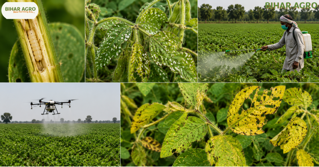 सोयाबीन में लगने वाले कीट, Soybean Pests, soybean pest control, soybean insects, soybean disease and pest management, सोयाबीन कीट नियंत्रण,
