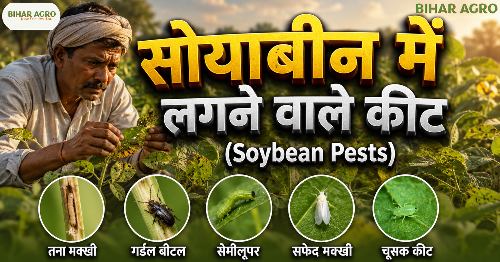 सोयाबीन में लगने वाले कीट, Soybean Pests, soybean pest control, soybean insects, soybean disease and pest management, सोयाबीन कीट नियंत्रण,