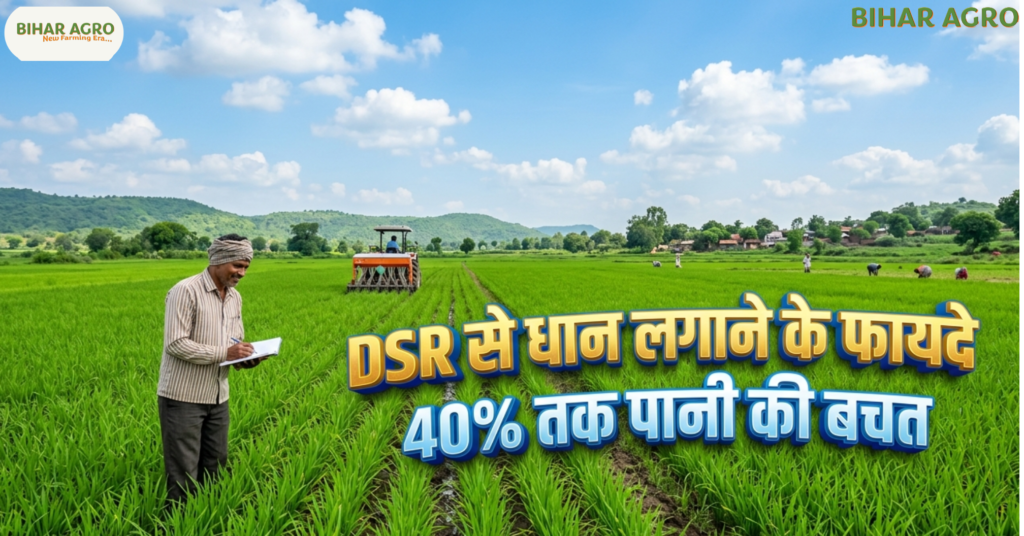 DSR से धान लगाने के फायदे, Direct Seeded Rice, DSR Paddy Farming, धान की सीधी बुवाई, आधुनिक धान खेती, Paddy Farming Technology, धान खेती में पानी की बचत, बिहार धान खेती, DSR मशीन, Rice Farming,Benefits of Paddy Farming using DSR,