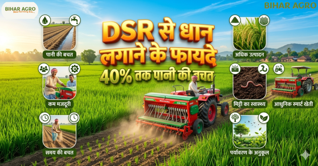 DSR से धान लगाने के फायदे, Direct Seeded Rice, DSR Paddy Farming, धान की सीधी बुवाई, आधुनिक धान खेती, Paddy Farming Technology, धान खेती में पानी की बचत, बिहार धान खेती, DSR मशीन, Rice Farming,Benefits of Paddy Farming using DSR,