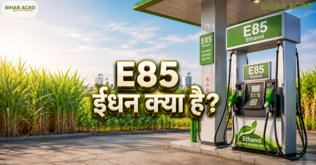 How much will farmers benefit from E85 fuel, What is E85 fuel, क्या है e85 ईंधन, Ethanol Fuel India, E85 Benefits for Farmers, Ethanol Blending, Biofuel India, Flex Fuel Vehicle, E85, Ethanol, Biofuel,