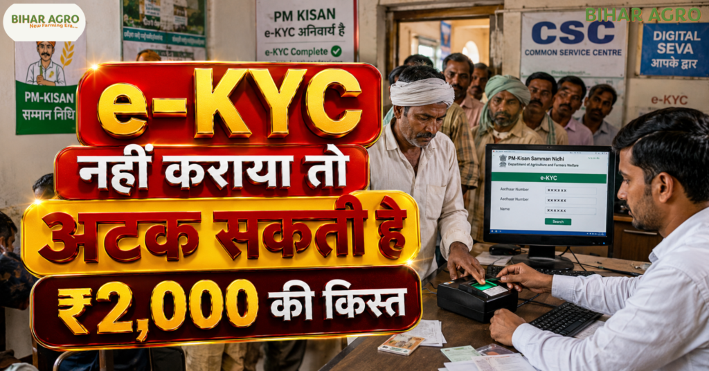 PM Kisan 23rd Instalment 2026 Payment Date Announced, PM किसान की 23वीं किस्त 2026 के भुगतान की तारीख घोषित,