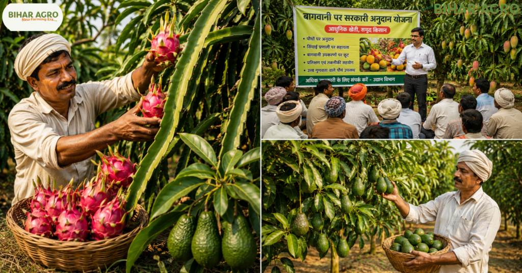 आम और विदेशी फलों की खेती, Mango & Exotic Fruit Farming,