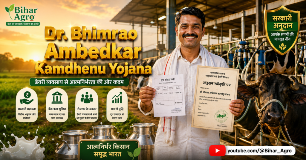 Dr. Bhimrao Ambedkar Kamdhenu Yojana, कामधेनु योजना, डेयरी फार्मिंग योजना, पशुपालन सब्सिडी, डेयरी बिजनेस लोन, SC ST डेयरी योजना, सरकारी पशुपालन योजना, डेयरी फार्म सब्सिडी,