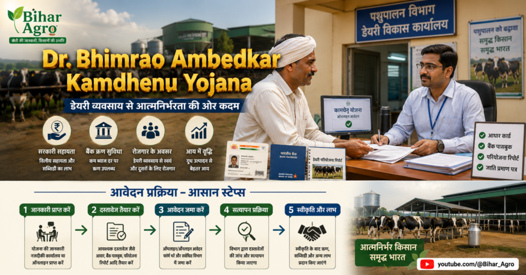 Dr. Bhimrao Ambedkar Kamdhenu Yojana, कामधेनु योजना, डेयरी फार्मिंग योजना, पशुपालन सब्सिडी, डेयरी बिजनेस लोन, SC ST डेयरी योजना, सरकारी पशुपालन योजना, डेयरी फार्म सब्सिडी,