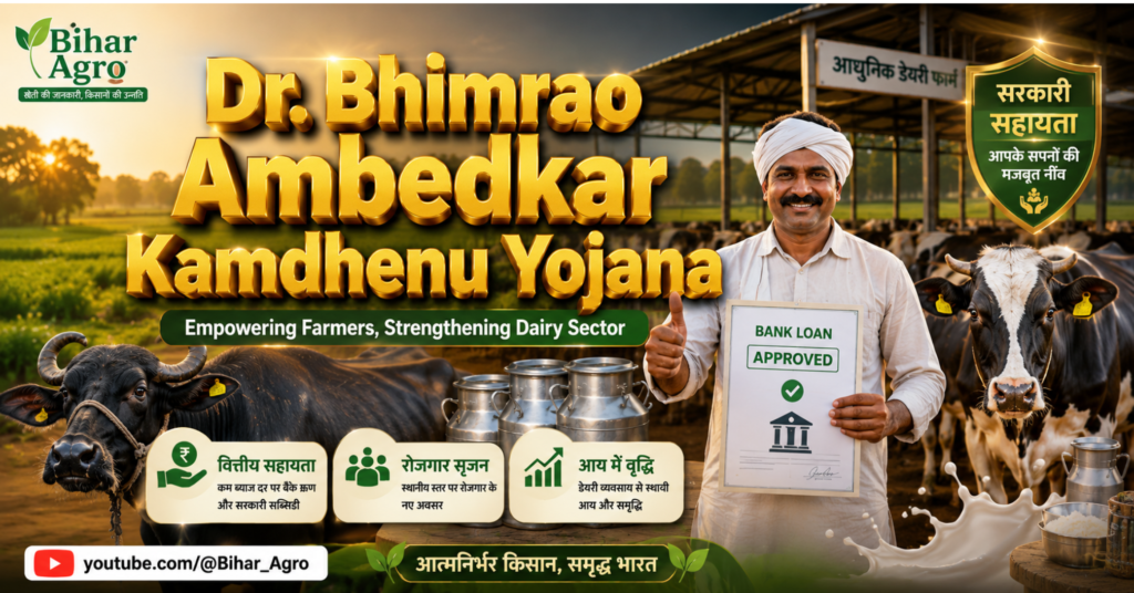 Dr. Bhimrao Ambedkar Kamdhenu Yojana, कामधेनु योजना, डेयरी फार्मिंग योजना, पशुपालन सब्सिडी, डेयरी बिजनेस लोन, SC ST डेयरी योजना, सरकारी पशुपालन योजना, डेयरी फार्म सब्सिडी,