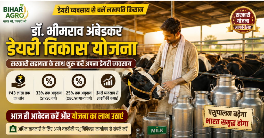 Bhimrao ambedkar vikas yojana, pashupalan yojana, भीमराव अंबेडकर योजना, डेयरी विकास योजना, Dairy Vikas Yojana,