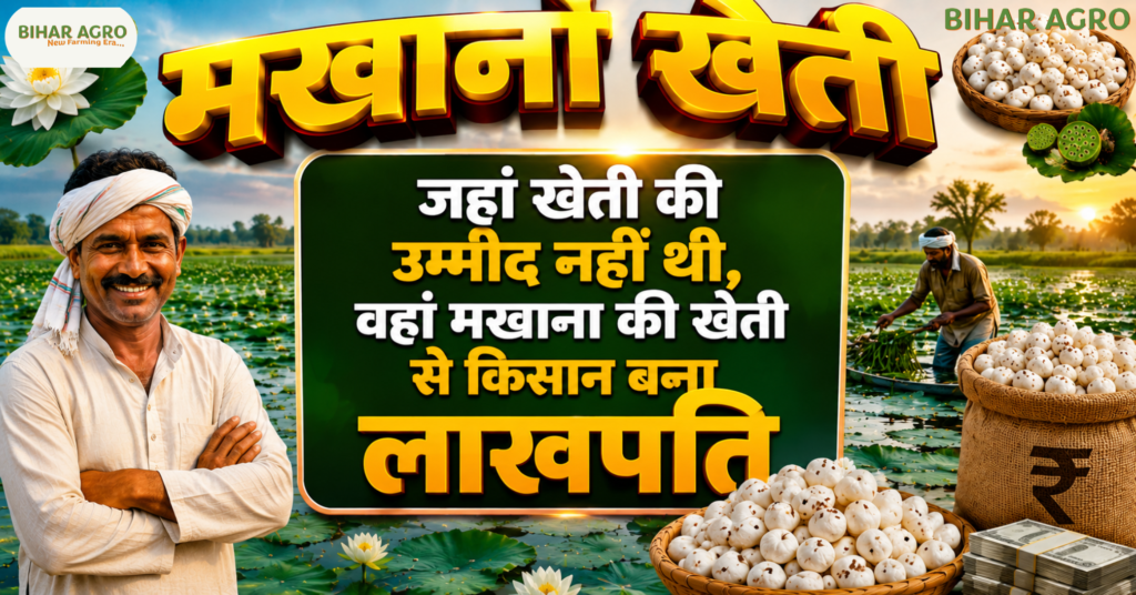 Makhana Farming, Makhana Cultivation, मखाना की खेती, मखाना खेती,