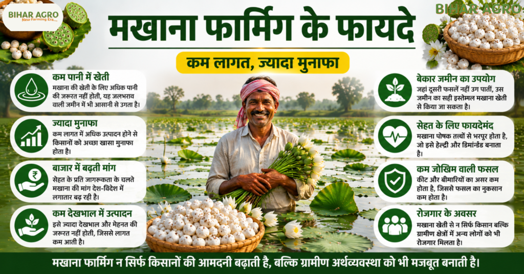 Makhana Farming, Makhana Cultivation, मखाना की खेती, मखाना खेती,