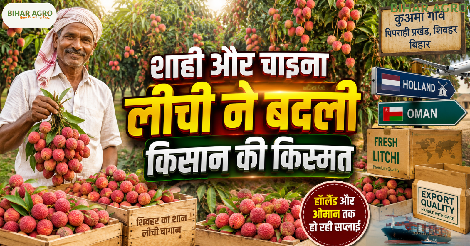 Sahi Litchi, Litchi cultivation, Litchi Farming, लीची की खेती, शाही लीची, चाइना लीची, लीची से कमाई, लीची बागवानी, चाइना लीची की खेती, शाही लीची की खेती,