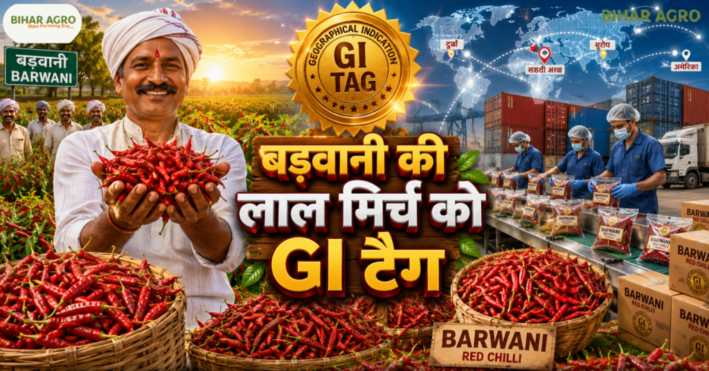Balram Krishi Mahotsav 2026, बलराम कृषि महोत्सव,