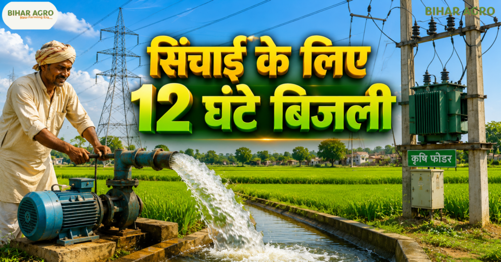 Bihar Diesel Subsidy 2026, Bihar Diesel Anudan 2026, Bihar Diesel Subsidy Scheme, Bihar Diesel Subsidy News, Bihar Diesel Subsidy for Farmers, Bihar Kisan Diesel Subsidy, बिहार डीजल अनुदान 2026, बिहार में मिलेगा डीजल पर अनुदान, Bihar Kisan Yojana 2026, Bihar Agriculture News 2026,