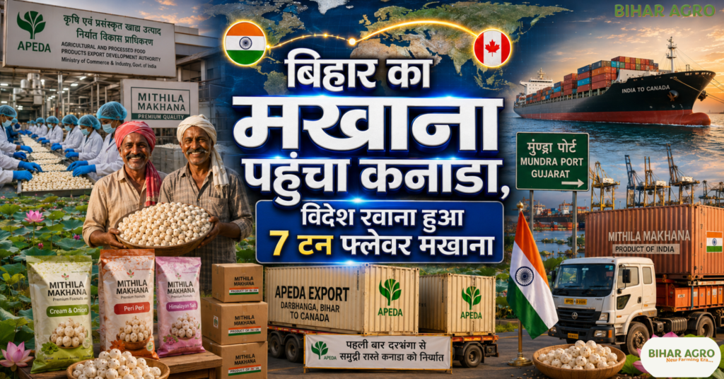 Bihar Makhana Export Canada 2026, Darbhanga Makhana Export, APEDA Makhana Export, Bihar Foxnuts Export, Makhana Export News, Mithila Makhana, Canada Makhana Import, Bihar Agriculture News, Flavoured Makhana Export, Bihar Makhana Farmers,