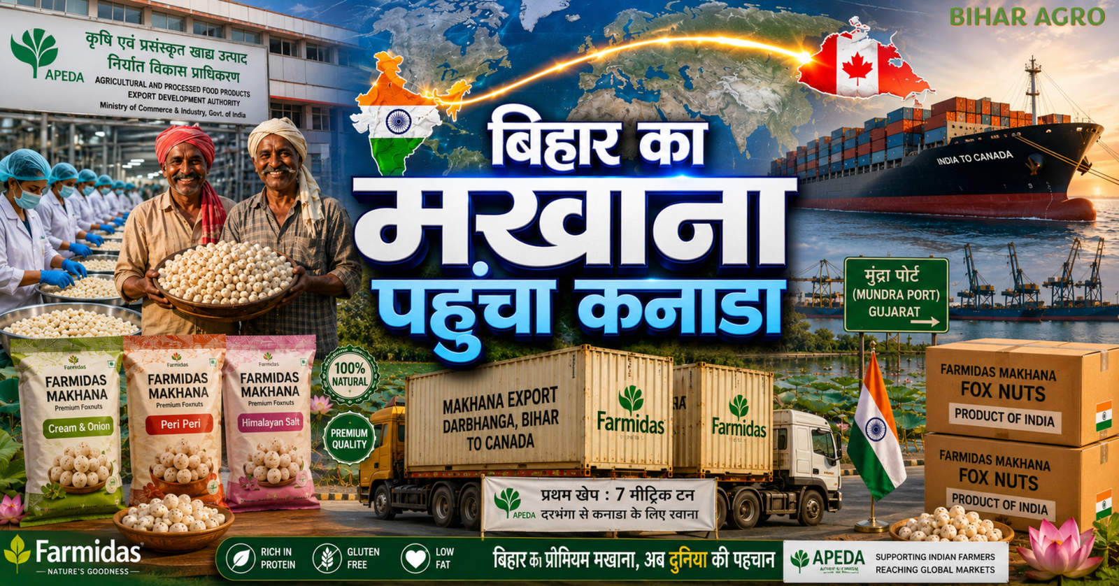 Bihar Makhana Export Canada 2026, Darbhanga Makhana Export, APEDA Makhana Export, Bihar Foxnuts Export, Makhana Export News, Mithila Makhana, Canada Makhana Import, Bihar Agriculture News, Flavoured Makhana Export, Bihar Makhana Farmers,