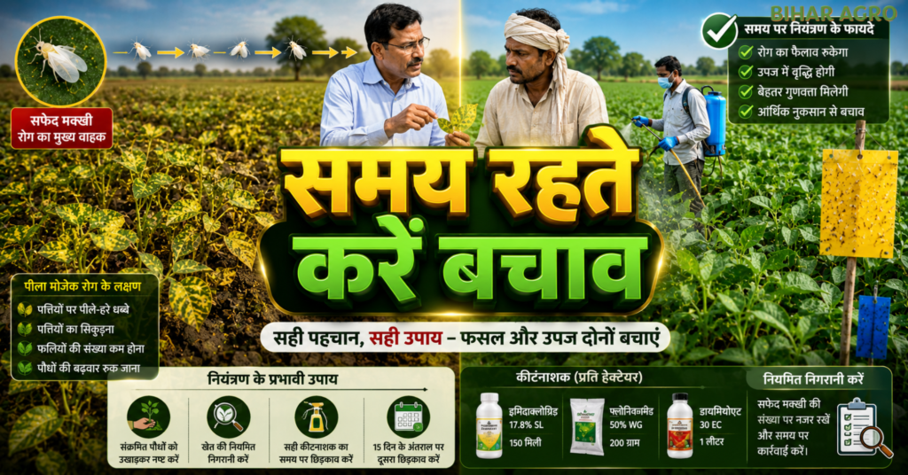 पीला मोजेक रोग, Yellow Mosaic, Yellow Mosaic Virus, मूंग में पीला मोजेक रोग, Yellow Mosaic Disease, मूंग की फसल, सफेद मक्खी नियंत्रण, Whitefly Control, दलहनी फसल रोग, मूंग रोग नियंत्रण, उड़द में पीला मोजेक, मोठ की फसल, YMV Virus, खरीफ दलहनी फसल, कृषि सलाह,