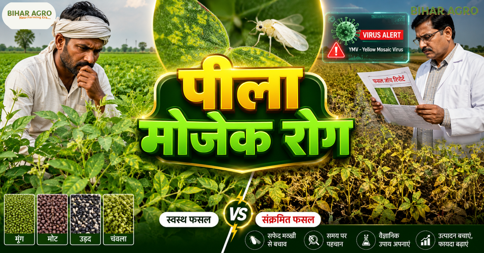 पीला मोजेक रोग, Yellow Mosaic, Yellow Mosaic Virus, मूंग में पीला मोजेक रोग, Yellow Mosaic Disease, मूंग की फसल, सफेद मक्खी नियंत्रण, Whitefly Control, दलहनी फसल रोग, मूंग रोग नियंत्रण, उड़द में पीला मोजेक, मोठ की फसल, YMV Virus, खरीफ दलहनी फसल, कृषि सलाह,