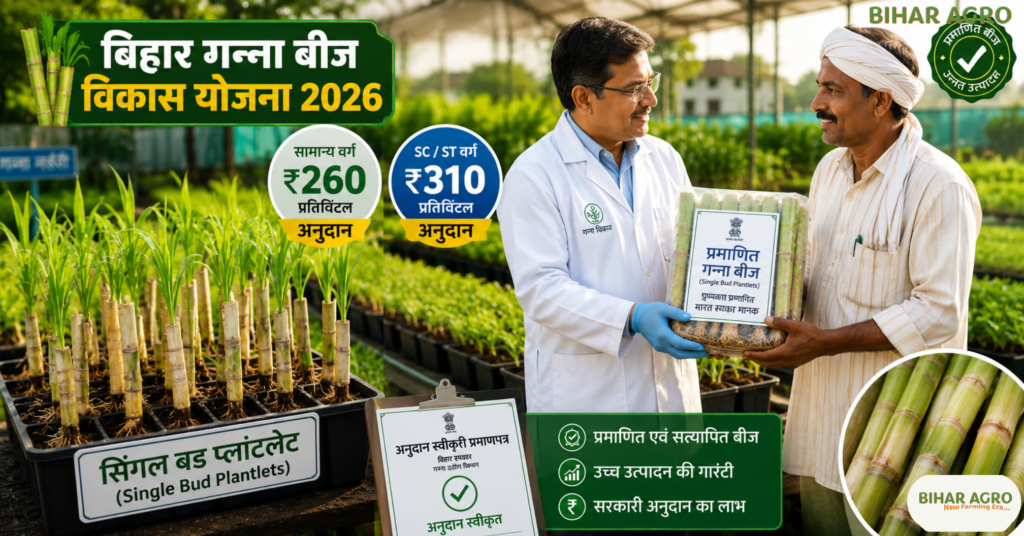 बिहार गन्ना बीज विकास योजना 2026, Bihar Sugarcane Seed Development Scheme 2026, Bihar Ganna Beej Vikas Yojana 2026, Bihar Sugarcane Seed Subsidy 2026, Bihar Sugarcane Scheme 2026, Bihar Sugarcane Farmers Scheme, Ganna Seed Development Scheme Bihar, Bihar Ganna Subsidy 2026, Sugarcane Seed Subsidy Bihar, Chief Minister Sugarcane Development Programme Bihar, Bihar Agriculture Scheme 2026,