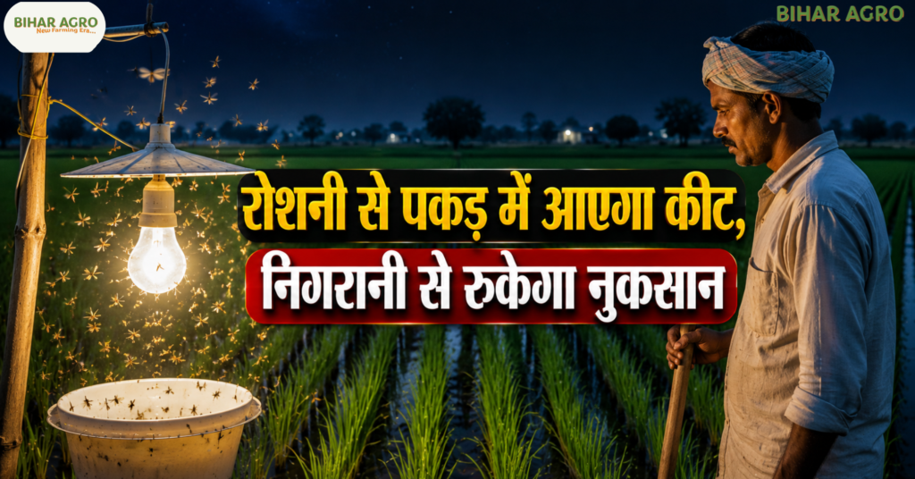 Rice Dwarf 2026, Rice Dwarf Disease, Rice Dwarf Virus, Rice Dwarf in Paddy, धान में राइस ड्वार्फ रोग, धान का वायरस रोग, White-backed Plant Hopper, धान की बीमारी 2026, Paddy Disease 2026, Rice Crop Disease, धान में कीट नियंत्रण, Rice Dwarf Symptoms, Rice Dwarf Prevention, धान की फसल बचाव, Rice Dwarf Management