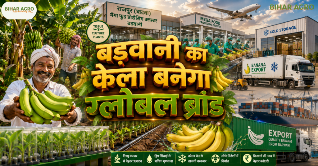 Balram Krishi Mahotsav 2026, बलराम कृषि महोत्सव,