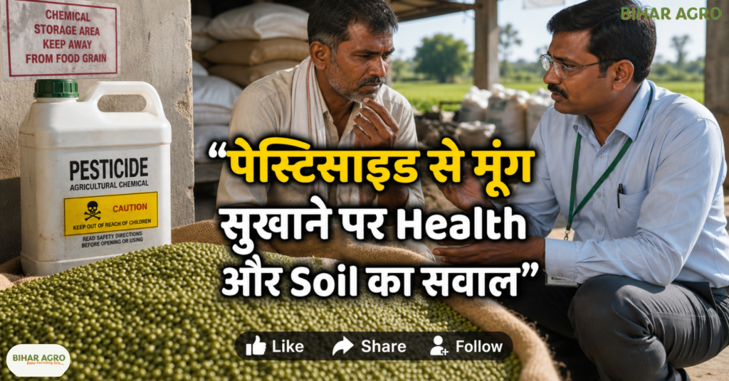 24 hour moong drying shortcut pesticide use health soil risk, मूंग की खेती, मूंग सुखाने का तरीका, पैराक्वाट डाइक्लोराइड, पेस्टिसाइड इस्तेमाल, खाद्य सुरक्षा, मिट्टी की सेहत, मध्य प्रदेश मूंग, ग्रीष्मकालीन मूंग, किसान, कृषि सलाह,