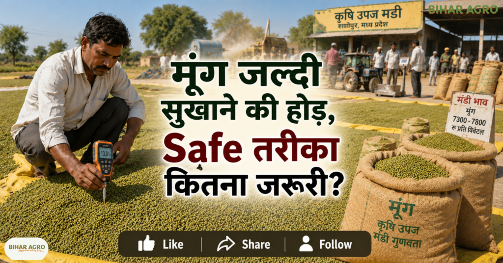 24 hour moong drying shortcut pesticide use health soil risk, मूंग की खेती, मूंग सुखाने का तरीका, पैराक्वाट डाइक्लोराइड, पेस्टिसाइड इस्तेमाल, खाद्य सुरक्षा, मिट्टी की सेहत, मध्य प्रदेश मूंग, ग्रीष्मकालीन मूंग, किसान, कृषि सलाह,