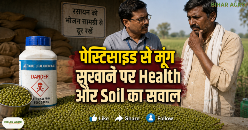 24 hour moong drying shortcut pesticide use health soil risk, मूंग की खेती, मूंग सुखाने का तरीका, पैराक्वाट डाइक्लोराइड, पेस्टिसाइड इस्तेमाल, खाद्य सुरक्षा, मिट्टी की सेहत, मध्य प्रदेश मूंग, ग्रीष्मकालीन मूंग, किसान, कृषि सलाह,