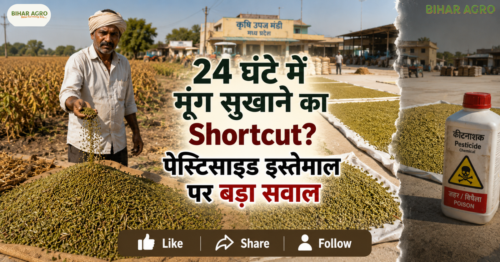 24 hour moong drying shortcut pesticide use health soil risk, मूंग की खेती, मूंग सुखाने का तरीका, पैराक्वाट डाइक्लोराइड, पेस्टिसाइड इस्तेमाल, खाद्य सुरक्षा, मिट्टी की सेहत, मध्य प्रदेश मूंग, ग्रीष्मकालीन मूंग, किसान, कृषि सलाह,