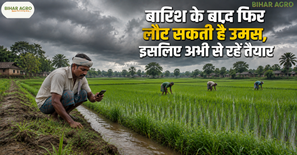 Bihar Weather Rain Alert, उत्तर बिहार बारिश, Bihar Weather Alert, Muzaffarpur Weather, Darbhanga Weather, Bihar Rain Alert, 15 अगस्त बारिश, 19 अगस्त बारिश, उत्तर बिहार मौसम, बिहार मौसम, उत्तर बिहार बारिश, मुजफ्फरपुर मौसम, दरभंगा मौसम, गोपालगंज बारिश, चंपारण बारिश, समस्तीपुर मौसम, बिहार वेदर अलर्ट, किसानों के लिए मौसम, Bihar Weather,