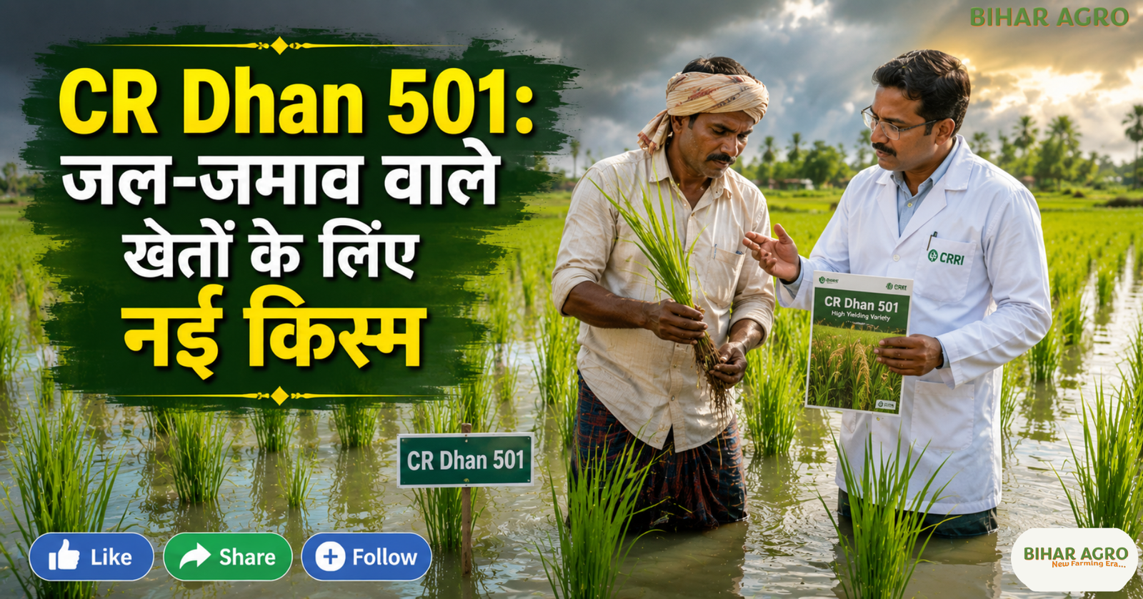CRRI Launches CR Dhan 501 For Waterlogged Rice, CR Dhan 501, CRRI, CRRI Launches CR Dhan 501 For Waterlogged Rice, धान की नई किस्म, बाढ़ प्रभावित धान, जल-जमाव वाली धान, SRBSDV वायरस, WBPH, धान रोग प्रबंधन, Rice Variety 2026, Paddy Farming,