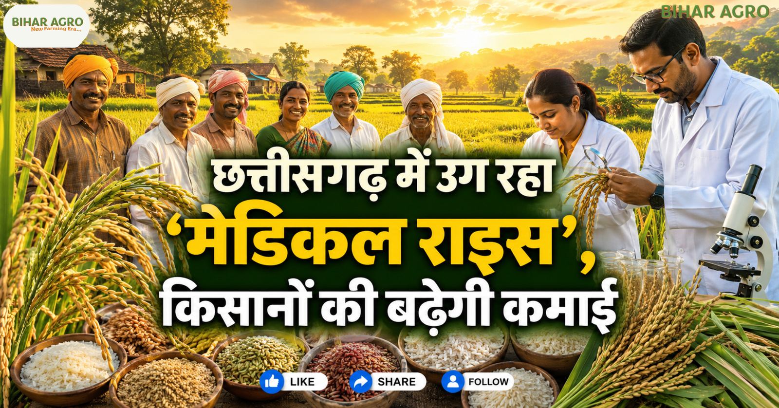 Farmers Sowing Medical Rice, Medical Rice, Chhattisgarh Rice, औषधीय धान, छत्तीसगढ़ धान, लाइचा धान, महाराजी धान, गठुवन धान, जवा फूल, मधुराज-55, Traditional Rice, Medicinal Rice, IGKV, Farmers Income,