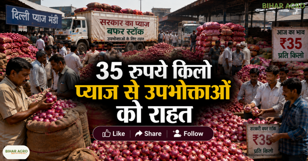 Onion Price Hike Relief 24 Aug 2026, प्याज की कीमत, प्याज बफर स्टॉक, प्याज के दाम, कांदा एक्सप्रेस, onion price, प्याज महंगाई, onion buffer stock, कृषि समाचार, किसान समाचार