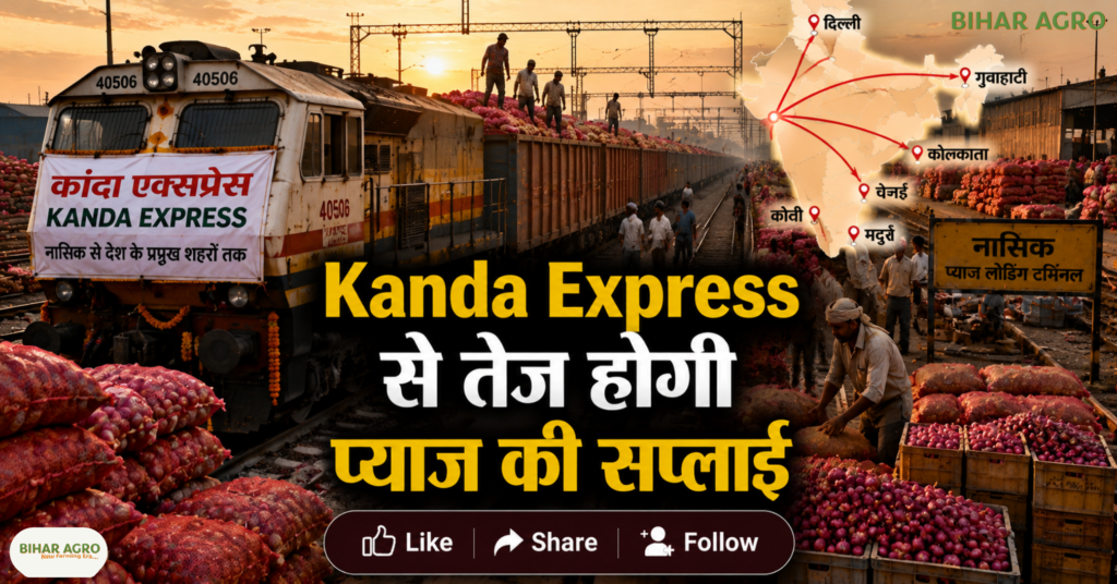 Onion Price Hike Relief 24 Aug 2026, प्याज की कीमत, प्याज बफर स्टॉक, प्याज के दाम, कांदा एक्सप्रेस, onion price, प्याज महंगाई, onion buffer stock, कृषि समाचार, किसान समाचार