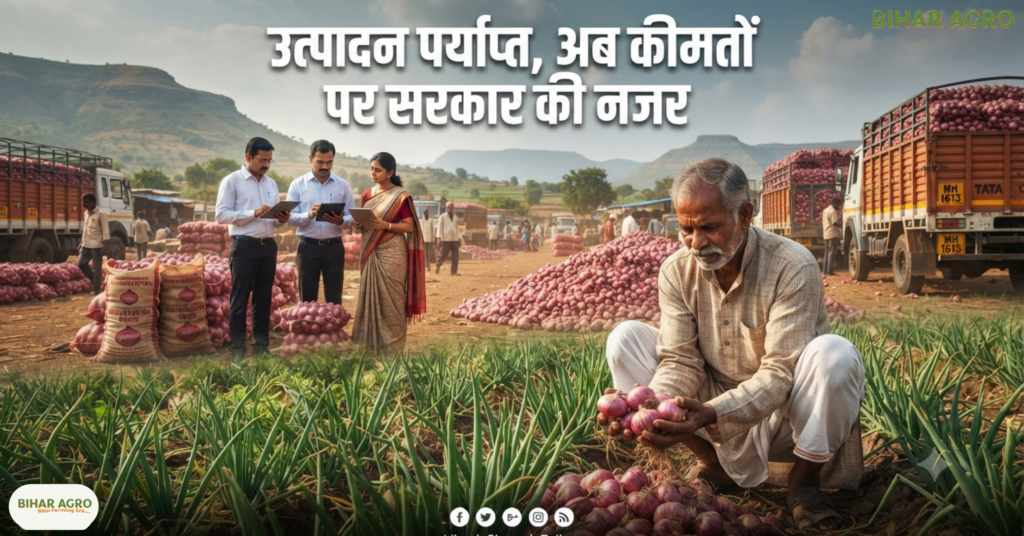 Onion Price Hike Relief 24 Aug 2026, प्याज की कीमत, प्याज बफर स्टॉक, प्याज के दाम, कांदा एक्सप्रेस, onion price, प्याज महंगाई, onion buffer stock, कृषि समाचार, किसान समाचार