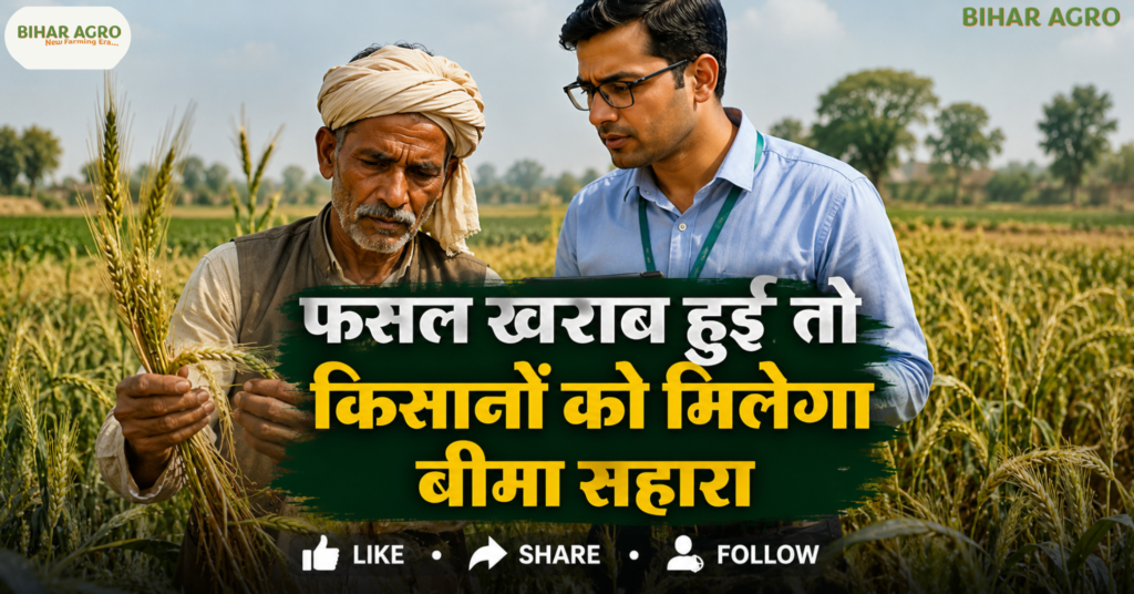 Pradhan Mantri Fasal Bima Yojana, बिहार फसल बीमा योजना, PM Fasal Bima Yojana Bihar, रबी 2026-27 फसल बीमा, फसल नुकसान बीमा, बिहार किसान बीमा योजना, PM Fasal Bima Yojana, Bihar Farmer Scheme 2026, रबी फसल बीमा, किसान बीमा योजना, फसल नुकसान मुआवजा, बिहार किसान योजना, PMFBY 2026, कृषि योजना बिहार,