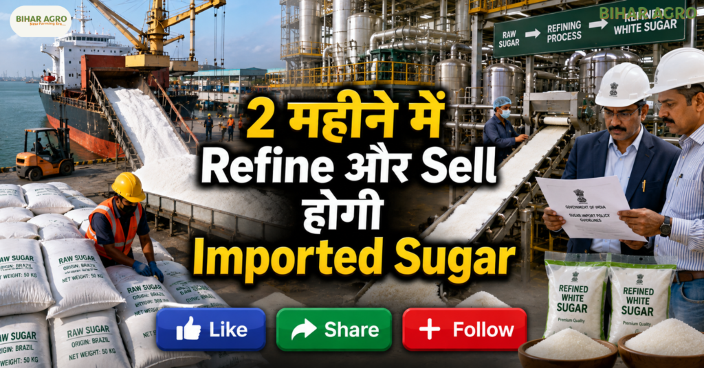 Sugar Price Hike Government Changes Import Rules, चीनी के दाम, चीनी आयात, कच्ची चीनी, TRQ Sugar Import, Sugar Price 2026, चीनी जमाखोरी, Sugar Market India, Sugar Import Rules,