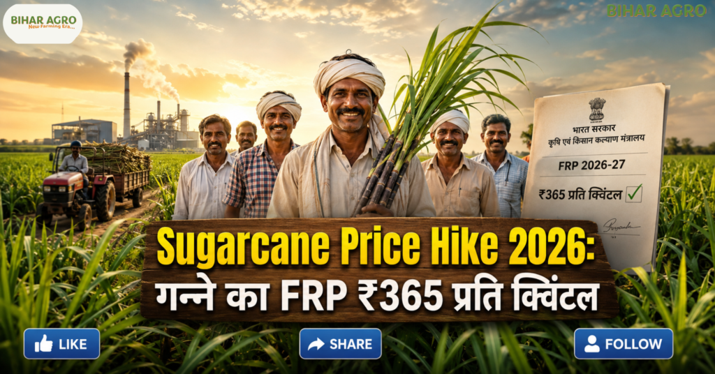 Sugarcane Price Hike 2026, Sugarcane FRP 2026-27, गन्ना भाव 2026, गन्ना किसानों की खबर, FRP 365 रुपये, Sugarcane Farmers, गन्ने का नया रेट, Sugar Season 2026-27,