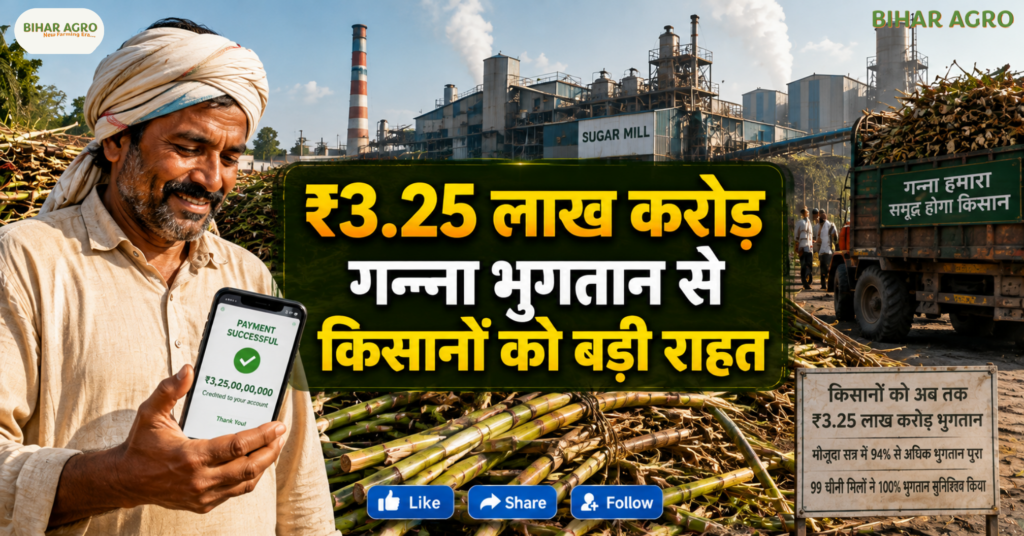 UP ranks number one in sugarcane and ethanol production, UP Sugarcane, Sugarcane Farming, Uttar Pradesh Sugarcane, Ethanol Production, Sugar Mill, Ganna Kisan, Sugarcane Payment, Sugar Production, UP Agriculture, Sugar Industry,