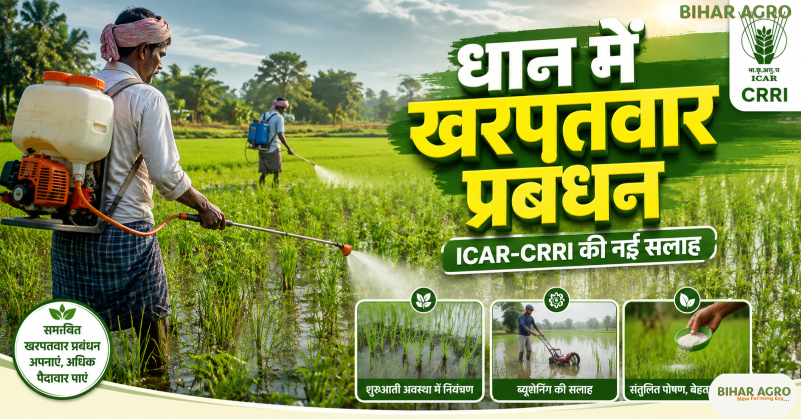Weed Management in Paddy, Paddy Weed Control, Direct Seeded Rice Weed Management, Lowland Paddy Farming, ICAR CRRI Paddy Advisory, धान में खरपतवार प्रबंधन, Direct Seeded Rice, Paddy Herbicide, धान, धान की खेती, Weed Management in Paddy, ICAR CRRI, Direct Seeded Rice, Paddy Farming, Herbicide, Lowland Rice, कृषि समाचार, खरीफ 2026, धान में खरपतवार, Rice Cultivation,