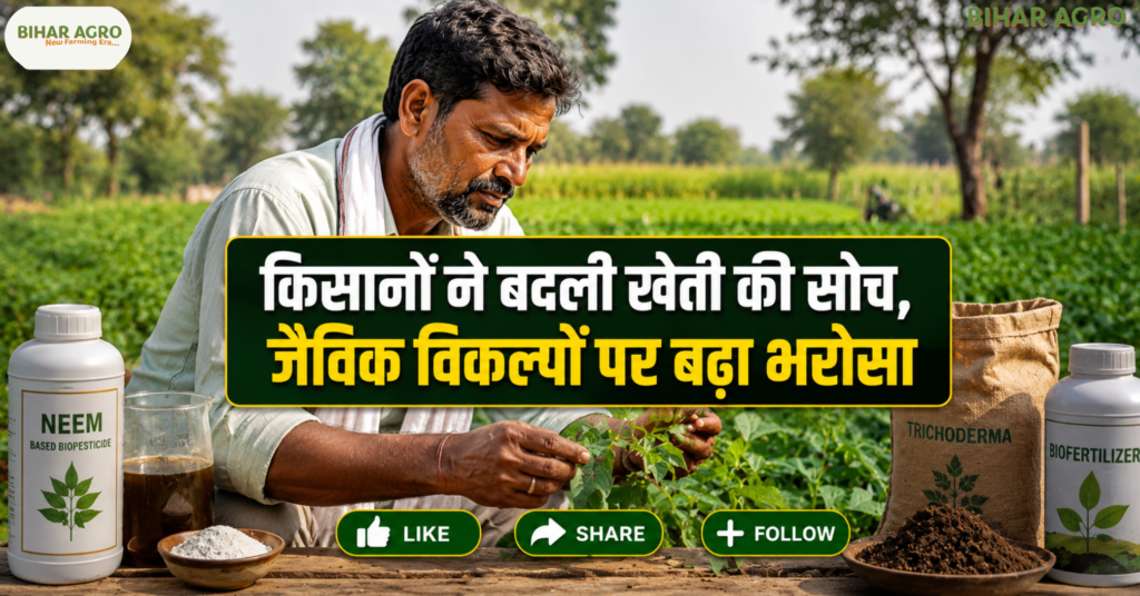 Indian farmers are adopting organic alternatives and biopesticides, जैविक खेती, जैव-कीटनाशक, बायोपेस्टिसाइड, नीम आधारित कीटनाशक, प्राकृतिक खेती, बायो फर्टिलाइजर, ट्राइकोडर्मा, ब्यूवेरिया बैसियाना, मेटाराइजियम, IPM, Organic Farming India, Sustainable Agriculture, Indian Farmers, जैविक कृषि,