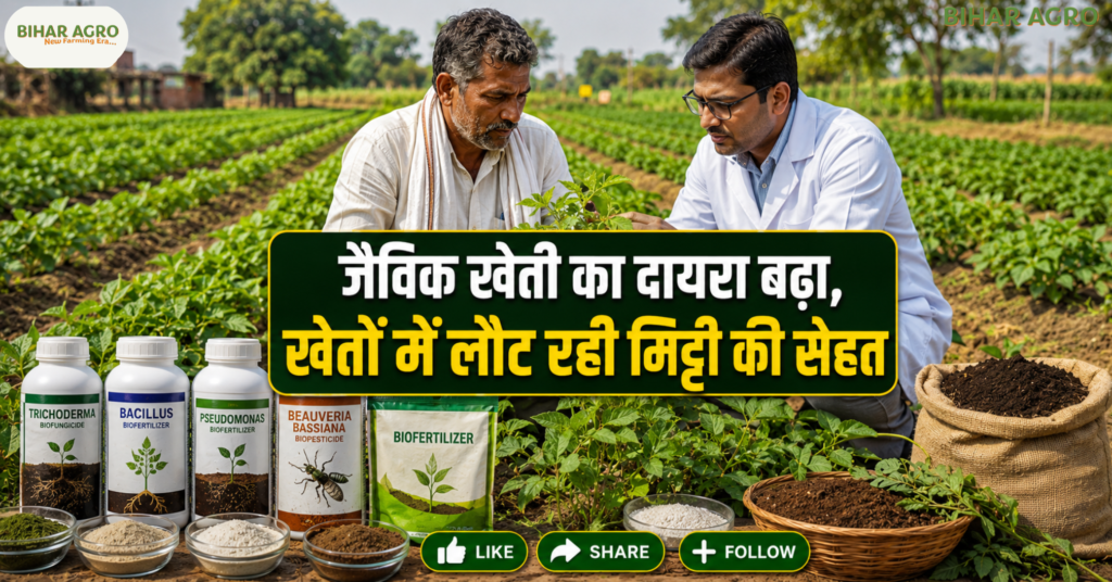 Indian farmers are adopting organic alternatives and biopesticides, जैविक खेती, जैव-कीटनाशक, बायोपेस्टिसाइड, नीम आधारित कीटनाशक, प्राकृतिक खेती, बायो फर्टिलाइजर, ट्राइकोडर्मा, ब्यूवेरिया बैसियाना, मेटाराइजियम, IPM, Organic Farming India, Sustainable Agriculture, Indian Farmers, जैविक कृषि,