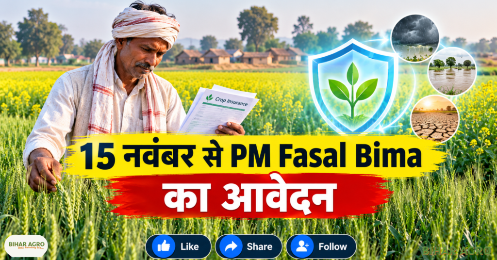 Bihar PM Fasal Bima Yojana Returns, Bihar PM Fasal Bima Yojana, बिहार फसल बीमा योजना, PMFBY Bihar, PM Fasal Bima Yojana 2026, रबी फसल बीमा, बिहार किसान योजना, Crop Insurance Bihar, किसान बीमा, प्रधानमंत्री फसल बीमा योजना, Bihar Farmer News, बिहार पीएम फसल बीमा योजना रिटर्न, बिहार पीएम फसल बीमा योजना, बिहार फसल बीमा योजना, पीएमएफबीवाई बिहार, पीएम फसल बीमा योजना 2026, रबी फसल बीमा, बिहार किसान योजना, फसल बीमा बिहार, किसान बीमा, प्रधानमंत्री फसल बीमा योजना, बिहार किसान समाचार,