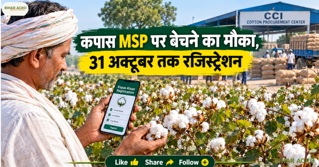 Gujarat Cotton Farmers Kapas Kisan Registration, Gujarat Cotton MSP 2026, Kapas Kisan App, Cotton MSP 2026-27, CCI Cotton Procurement, Gujarat Cotton Farmers, Mission for Cotton Productivity, Kapas Kisan Registration, Cotton Subsidy Gujarat, Cotton Farming Gujarat, गुजरात कॉटन किसान कपास किसान रजिस्ट्रेशन, गुजरात कॉटन एमएसपी 2026, कपास किसान ऐप, कॉटन एमएसपी 2026-27, सीसीआई कॉटन खरीद, गुजरात कॉटन किसान, कॉटन उत्पादकता के लिए मिशन, कपास किसान रजिस्ट्रेशन, कॉटन सब्सिडी गुजरात, कॉटन फार्मिंग गुजरात,