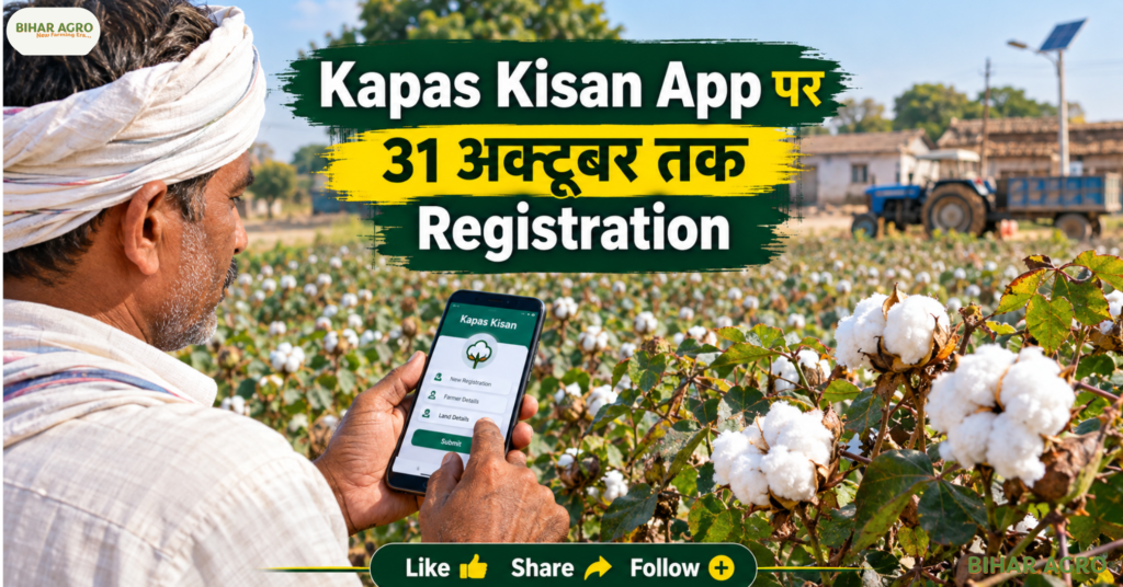 Gujarat Cotton Farmers Kapas Kisan Registration, Gujarat Cotton MSP 2026, Kapas Kisan App, Cotton MSP 2026-27, CCI Cotton Procurement, Gujarat Cotton Farmers, Mission for Cotton Productivity, Kapas Kisan Registration, Cotton Subsidy Gujarat, Cotton Farming Gujarat, गुजरात कॉटन किसान कपास किसान रजिस्ट्रेशन, गुजरात कॉटन एमएसपी 2026, कपास किसान ऐप, कॉटन एमएसपी 2026-27, सीसीआई कॉटन खरीद, गुजरात कॉटन किसान, कॉटन उत्पादकता के लिए मिशन, कपास किसान रजिस्ट्रेशन, कॉटन सब्सिडी गुजरात, कॉटन फार्मिंग गुजरात,