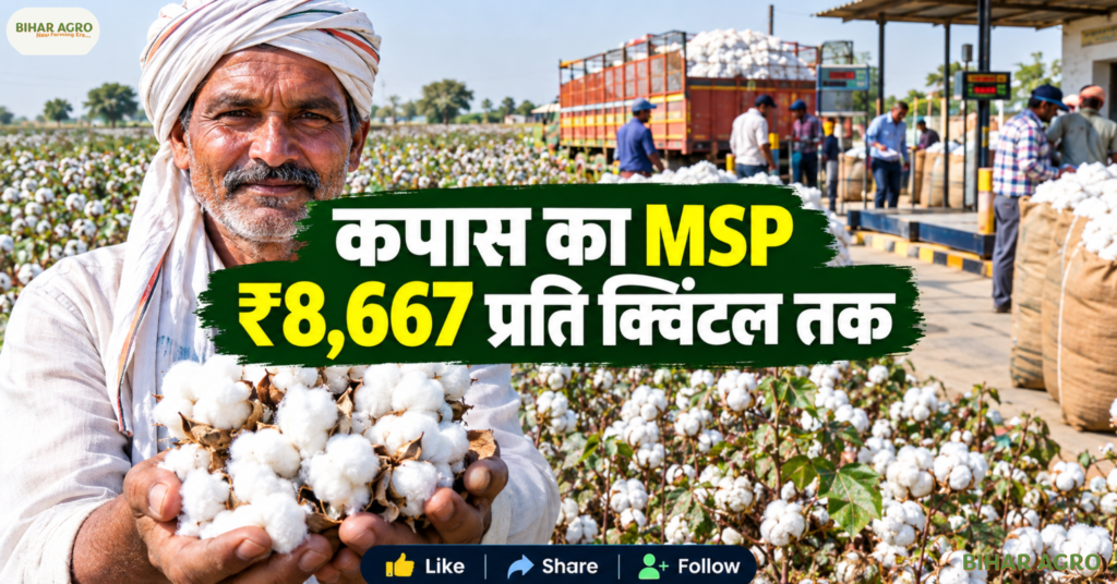 Gujarat Cotton Farmers Kapas Kisan Registration, Gujarat Cotton MSP 2026, Kapas Kisan App, Cotton MSP 2026-27, CCI Cotton Procurement, Gujarat Cotton Farmers, Mission for Cotton Productivity, Kapas Kisan Registration, Cotton Subsidy Gujarat, Cotton Farming Gujarat, गुजरात कॉटन किसान कपास किसान रजिस्ट्रेशन, गुजरात कॉटन एमएसपी 2026, कपास किसान ऐप, कॉटन एमएसपी 2026-27, सीसीआई कॉटन खरीद, गुजरात कॉटन किसान, कॉटन उत्पादकता के लिए मिशन, कपास किसान रजिस्ट्रेशन, कॉटन सब्सिडी गुजरात, कॉटन फार्मिंग गुजरात,