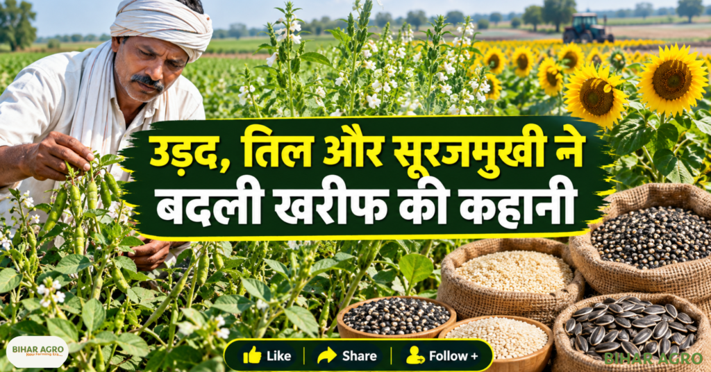 Kharif 2026 Sowing Update Paddy Maize Cotton, Kharif 2026, Kharif Sowing 2026, Paddy Area, Maize Area, Cotton Sowing, Pulses, Urd, Soybean, Sesame, Sunflower, Millets, Farmers News, Agriculture News, Kharif Crop Area, खरीफ 2026 बुवाई अपडेट धान मक्का कपास, खरीफ 2026, खरीफ बुवाई 2026, धान क्षेत्र, मक्का क्षेत्र, कपास बुवाई, दालें, उर्द, सोयाबीन, तिल, सूरजमुखी, बाजरा, किसान समाचार, कृषि समाचार, खरीफ फसल क्षेत्र,